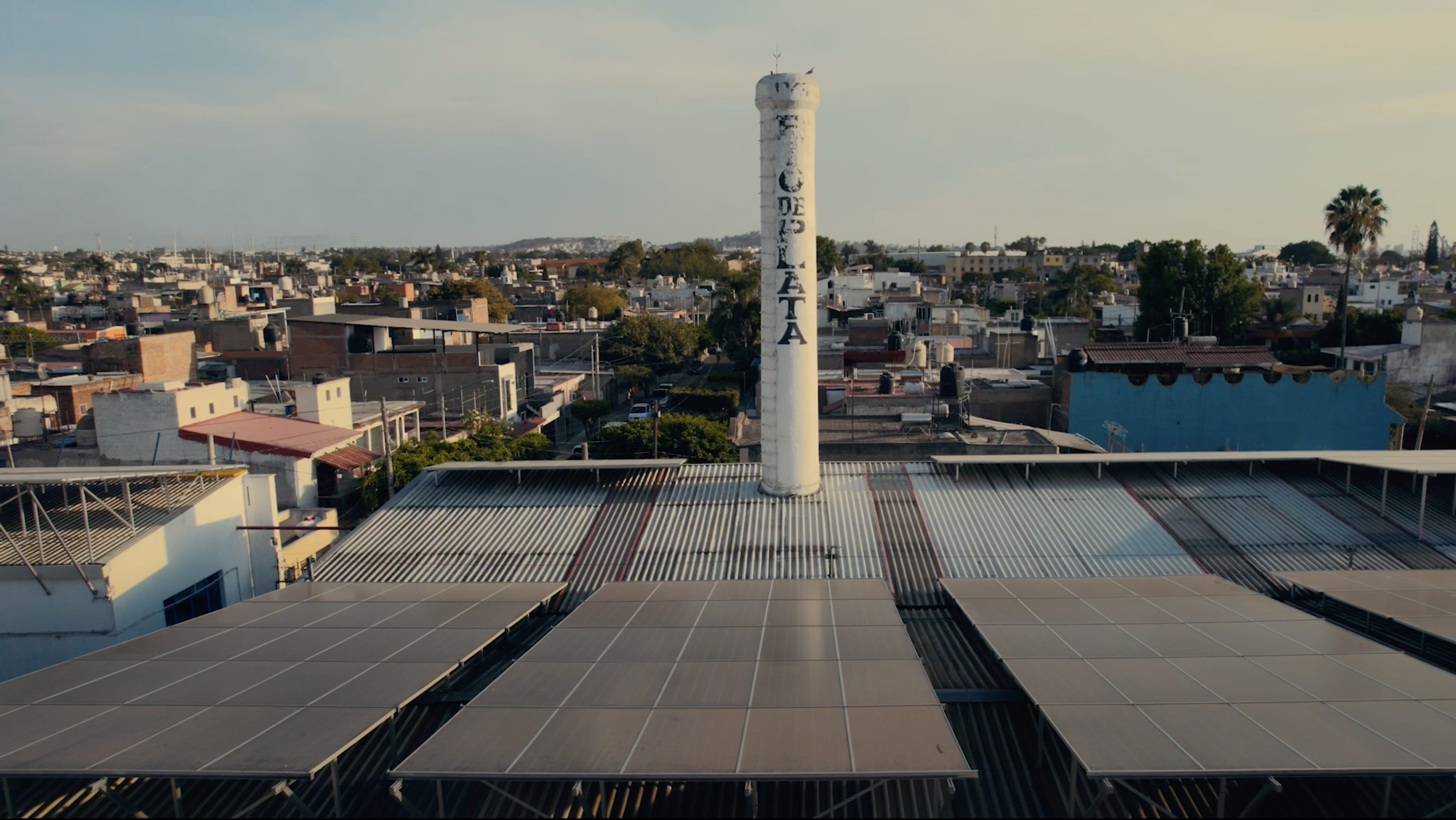 How Can Tequila Be Made Sustainably?